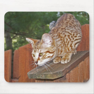 Savannah Cat Mousepad Muismat