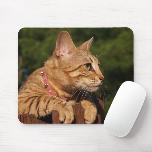 Savannah Cat Mousepad Muismat (Met muis)