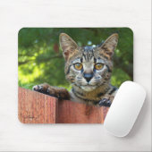 Savannah Cat Mousepad Muismat (Met muis)
