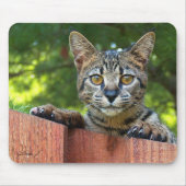 Savannah Cat Mousepad Muismat (Voorkant)