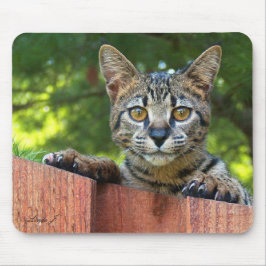 Savannah Cat Mousepad Muismat