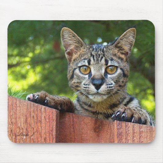 Savannah Cat Mousepad Muismat (Voorkant)