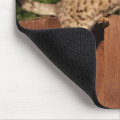 Savannah Cat Mousepad Muismat (Hoek)