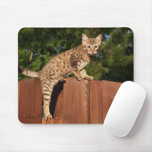Savannah Cat Mousepad Muismat (Met muis)