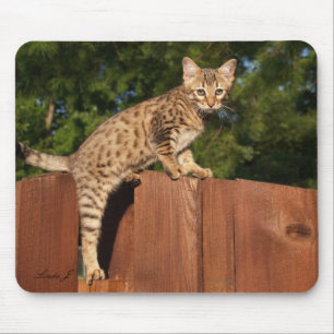 Savannah Cat Mousepad Muismat