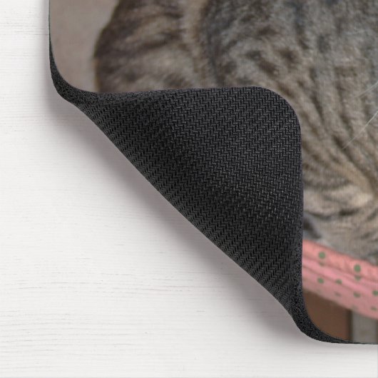 Savannah Cat Mousepad Muismat (Hoek)