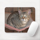 Savannah Cat Mousepad Muismat (Met muis)