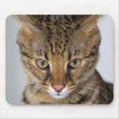 Savannah Cat Muismat (Voorkant)