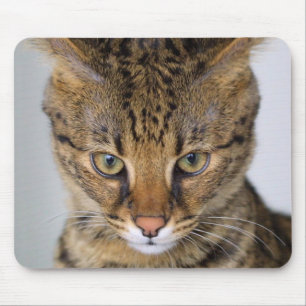 Savannah Cat Muismat