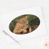 Savannah Cat Oval Sticker (Envelop)