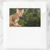 Savannah Cat Rectangle Sticker (Tas)