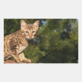 Savannah Cat Rectangle Sticker (Voorkant)