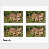 Savannah Cat Rectangle Sticker (Vel)