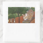 Savannah Cat Rectangle Sticker (Tas)