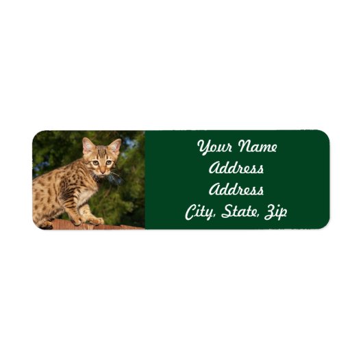 Savannah Cat Return Address Sticker (Voorkant)