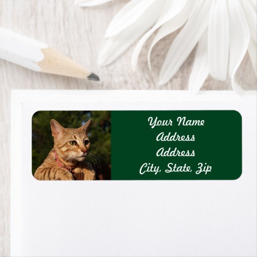 Savannah Cat Return Address Sticker (Insitu)