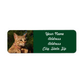 Savannah Cat Return Address Sticker (Voorkant)