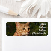 Savannah Cat Return Address Sticker (Insitu)
