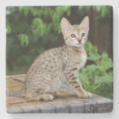 Savannah Cat Square Onderzetter (Voorkant)