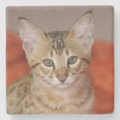Savannah Cat Square Onderzetter (Voorkant)