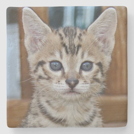 Savannah Cat Square Onderzetter (Voorkant)