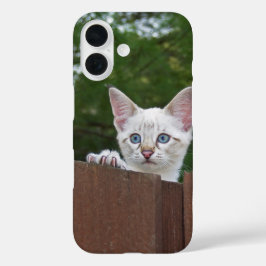 Savannah Cat Telefoonhoes iPhone 16 Hoesje
