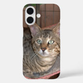 Savannah Cat Telefoonhoes Case-Mate iPhone Case (Achterkant)