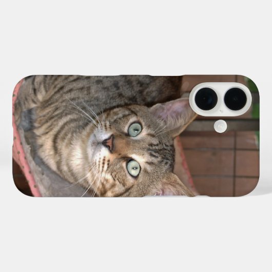 Savannah Cat Telefoonhoes Case-Mate iPhone Case (Achterkant (horizontaal))