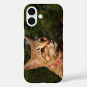 Savannah Cat Telefoonhoes Case-Mate iPhone Case (Achterkant)