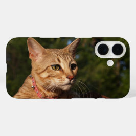 Savannah Cat Telefoonhoes iPhone 16 Hoesje
