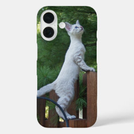 Savannah Cat Telefoonhoes iPhone 16 Hoesje