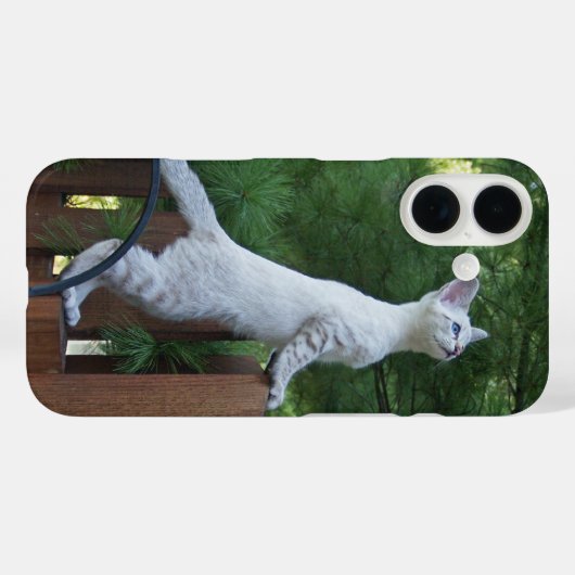 Savannah Cat Telefoonhoes Case-Mate iPhone Case (Achterkant (horizontaal))