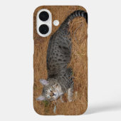 Savannah Cat Telefoonhoes Case-Mate iPhone Case (Achterkant)