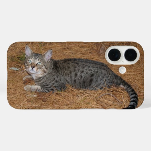 Savannah Cat Telefoonhoes Case-Mate iPhone Case (Achterkant (horizontaal))