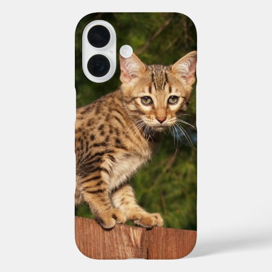 Savannah Cat telefoonhoesje Case-Mate iPhone Case (Achterkant)