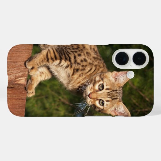 Savannah Cat telefoonhoesje Case-Mate iPhone Case (Achterkant (horizontaal))