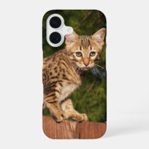 Savannah Cat telefoonhoesje