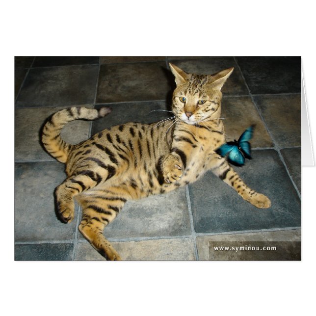 Savannah Cat verrassingskaart (Voorkant Horizontaal)