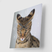 Savannah ‎ Cat Vierkante Klok (Hoek)