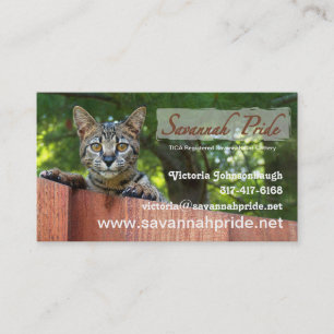 Savannah Cat Visitekaartje