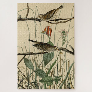 Savannah Finch (Sparrow) Audubon Birds of America Legpuzzel