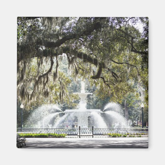 Savannah Forsyth Fountain Magnet (Voorkant)