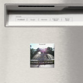 Savannah GA Magneet (Insitu (Vaatwasser))