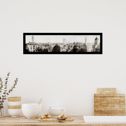 Savannah GA Panoramic Photo 1909 Poster (Keuken)