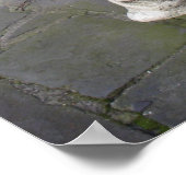 Savannah Gargoyle Framed Print (Hoek)