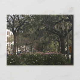 Savannah Georgia Briefkaart