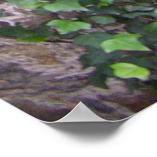 Savannah Georgia Creepy Stairs Poster (Hoek)