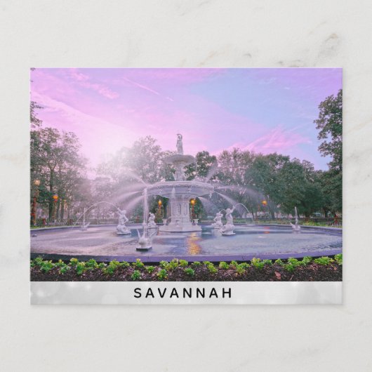 Savannah Georgia Forsyth Park Fountain Briefkaart (Voorkant)