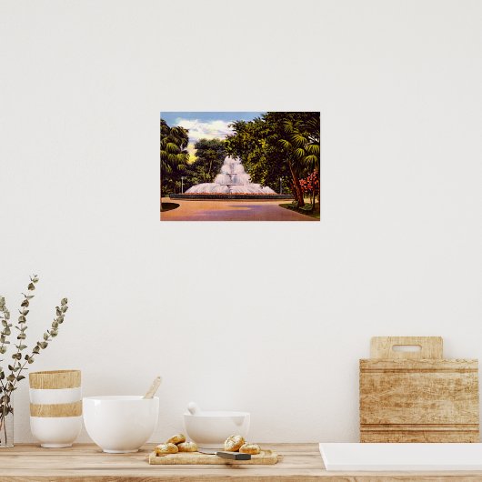 Savannah, Georgia Forsyth Park Fountain Poster (Keuken)