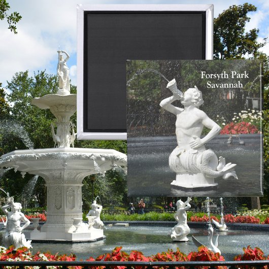 Savannah Georgia Forsyth Park Fountain Triton Magneet